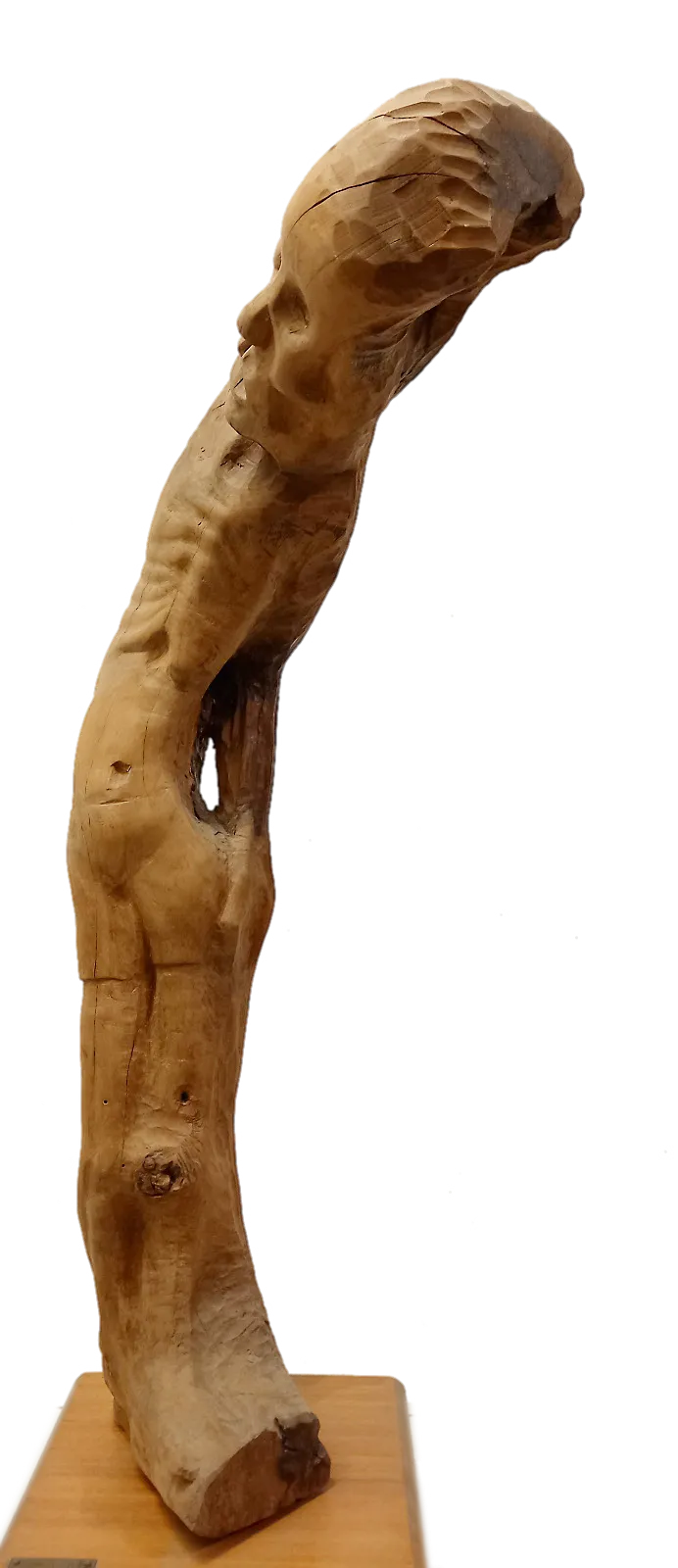 World Hunger